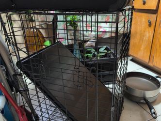 Keenell Para Perro Usado Muy Bueno $30