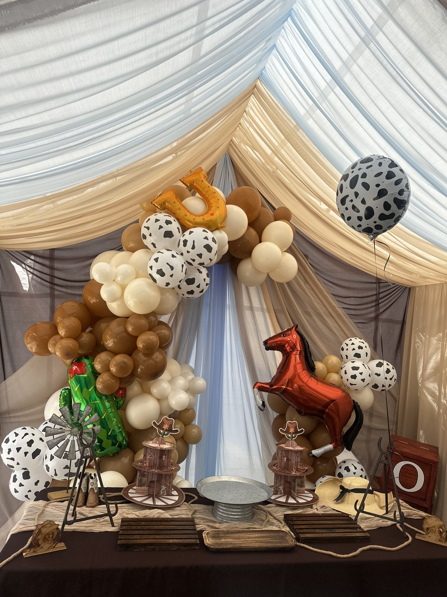 Rodeo Balloon Backdrop