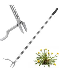 Herramienta extractor de hierva