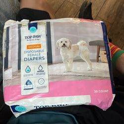 Dog diapers
