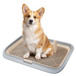 Dog Potty Tray 23.6x17.68 Indoor Pet Pee Pad Holder and Puppy Training Litter Box Retail $31.00