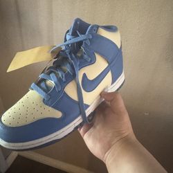 Dunks Nike