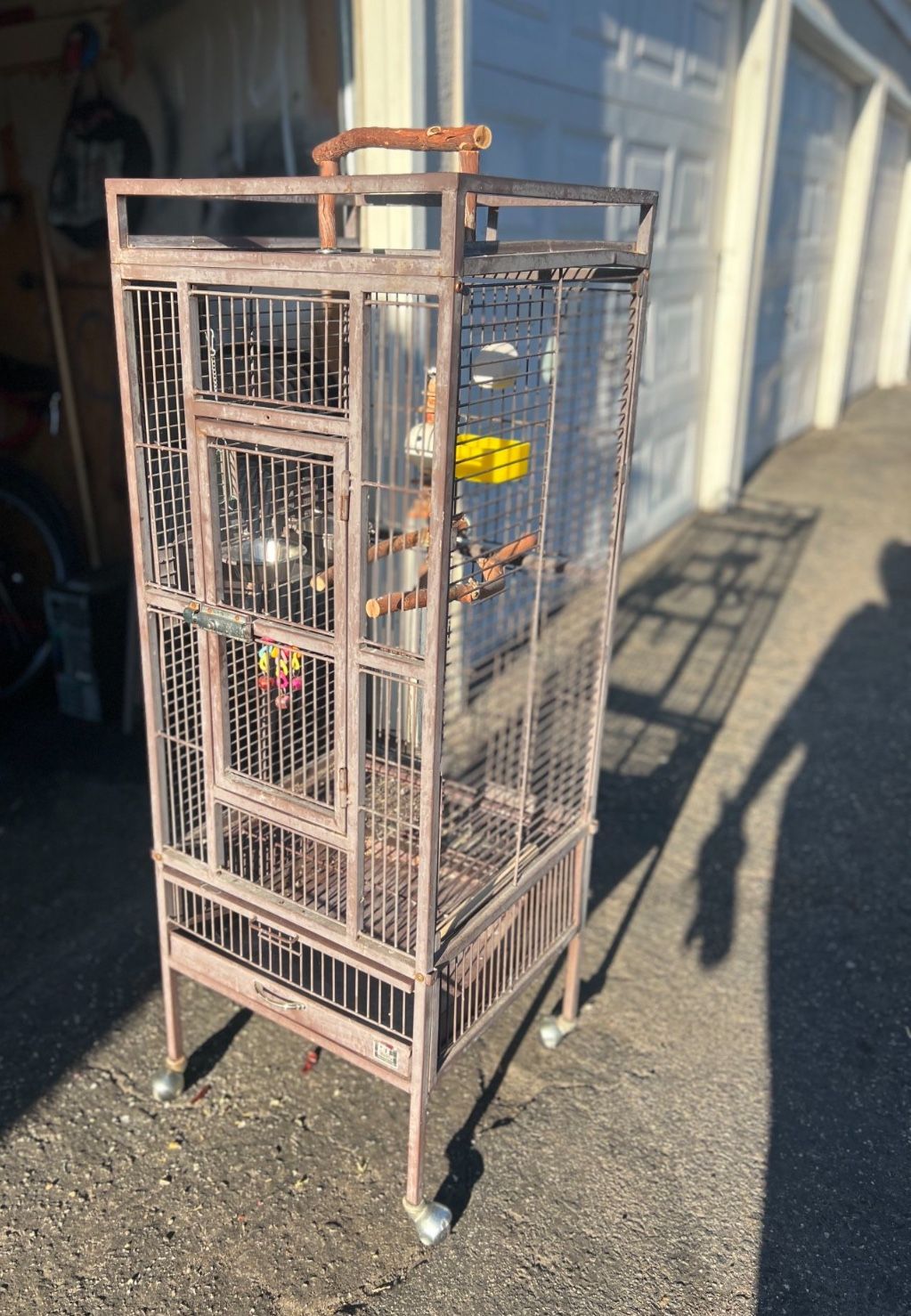 Bird Cage
