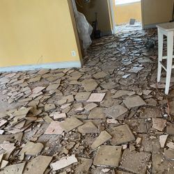 All House Tile Demos