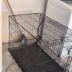 Dog Pen