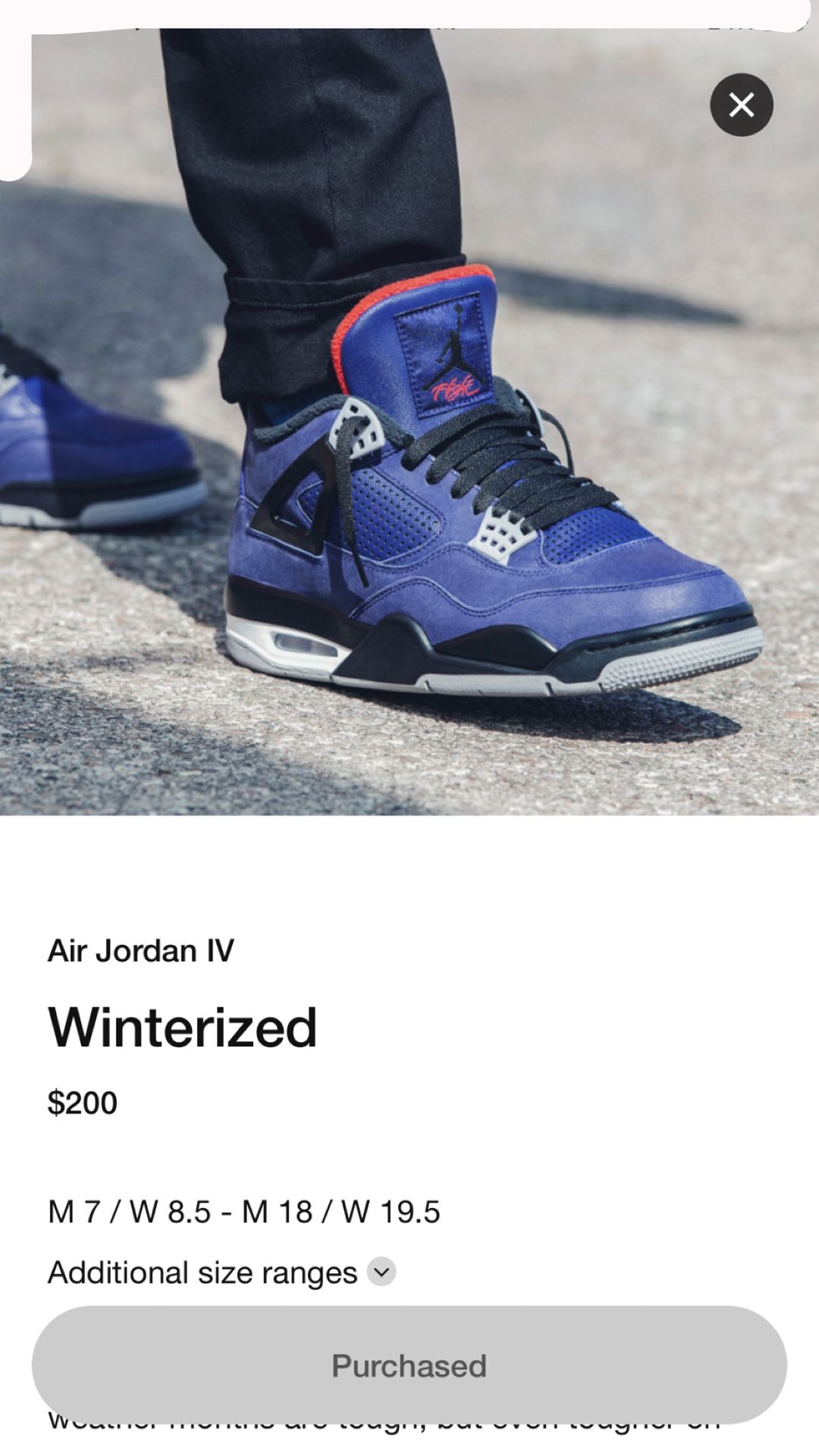 Jordan 4 retro winter