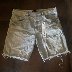 PURPLE Brand Jean Shorts