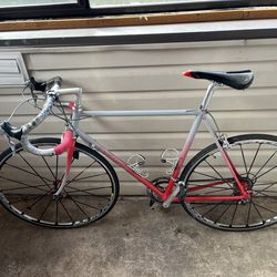 “93” Davidson 56cm