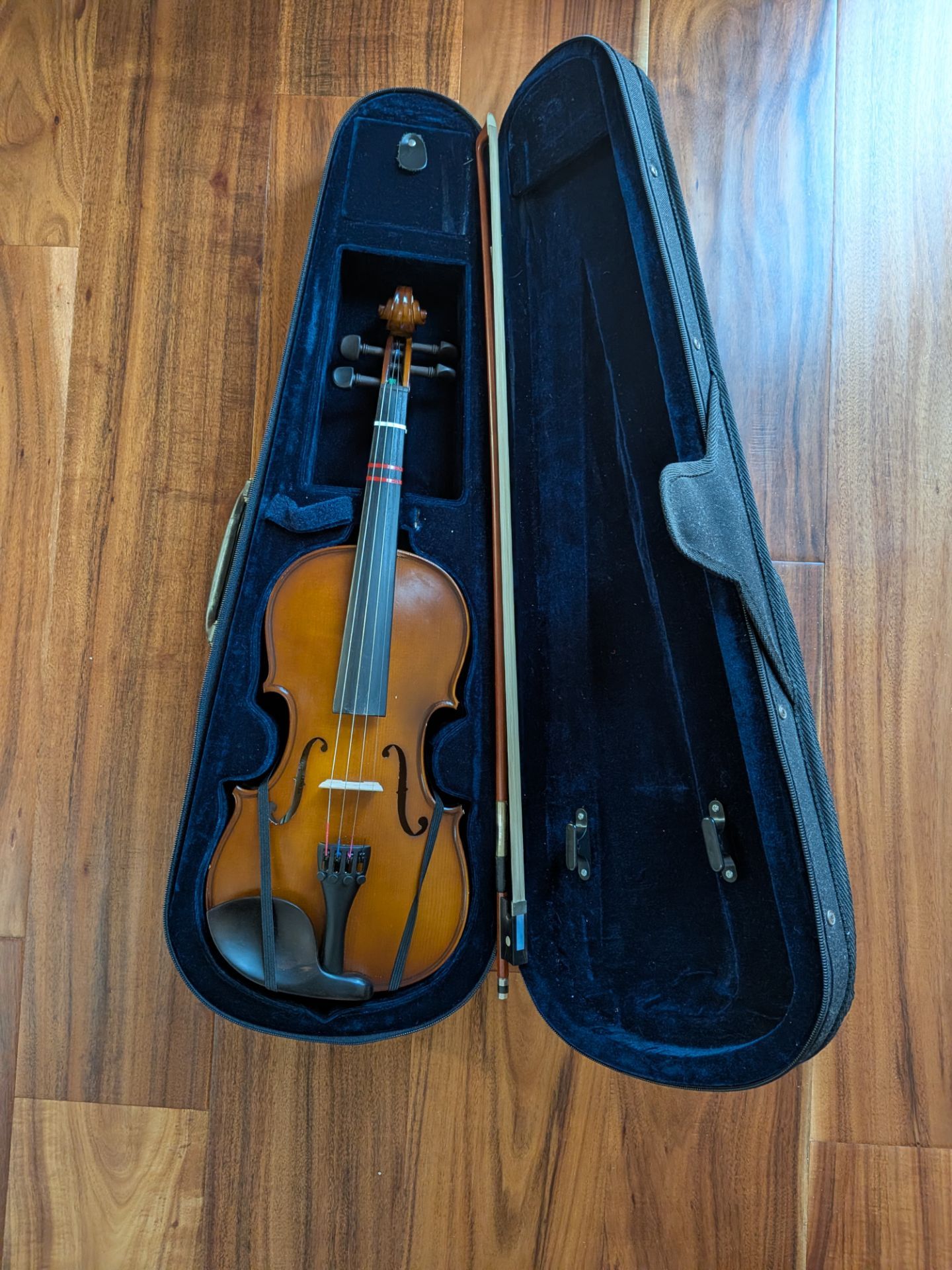 Violin