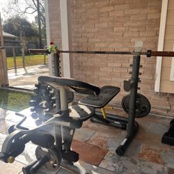 Bench Press with Weights