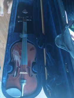 Violin