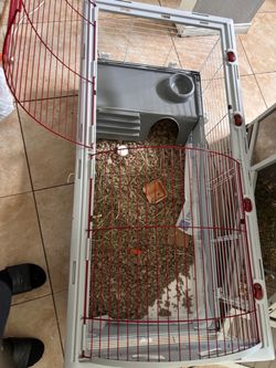 Large pet cage