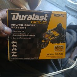 Duralast GOLD Power Sports BATTERY AZX4L