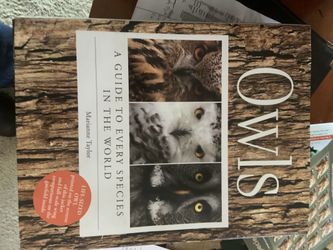 Coffee Table Books.