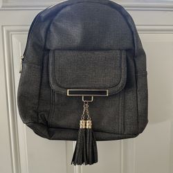 Gray Mini Backpack Purse 