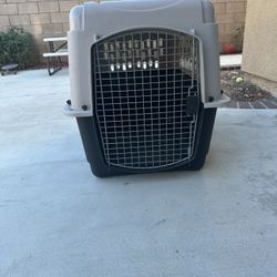 Dog House/cage