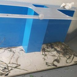 Acrilic Fish Tank