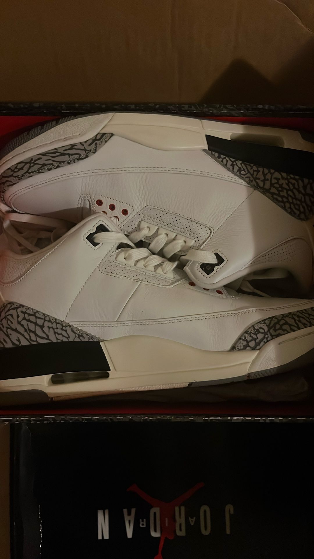 Air Jordan’s Size 12