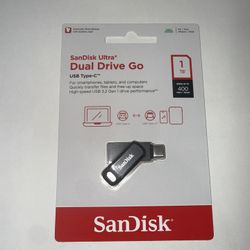 Sandisk 1 TB Dual Drive