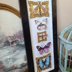 Mixed Media Butterfly And Moth Framed Picture