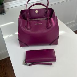 Michael Kors Purse and Wallet