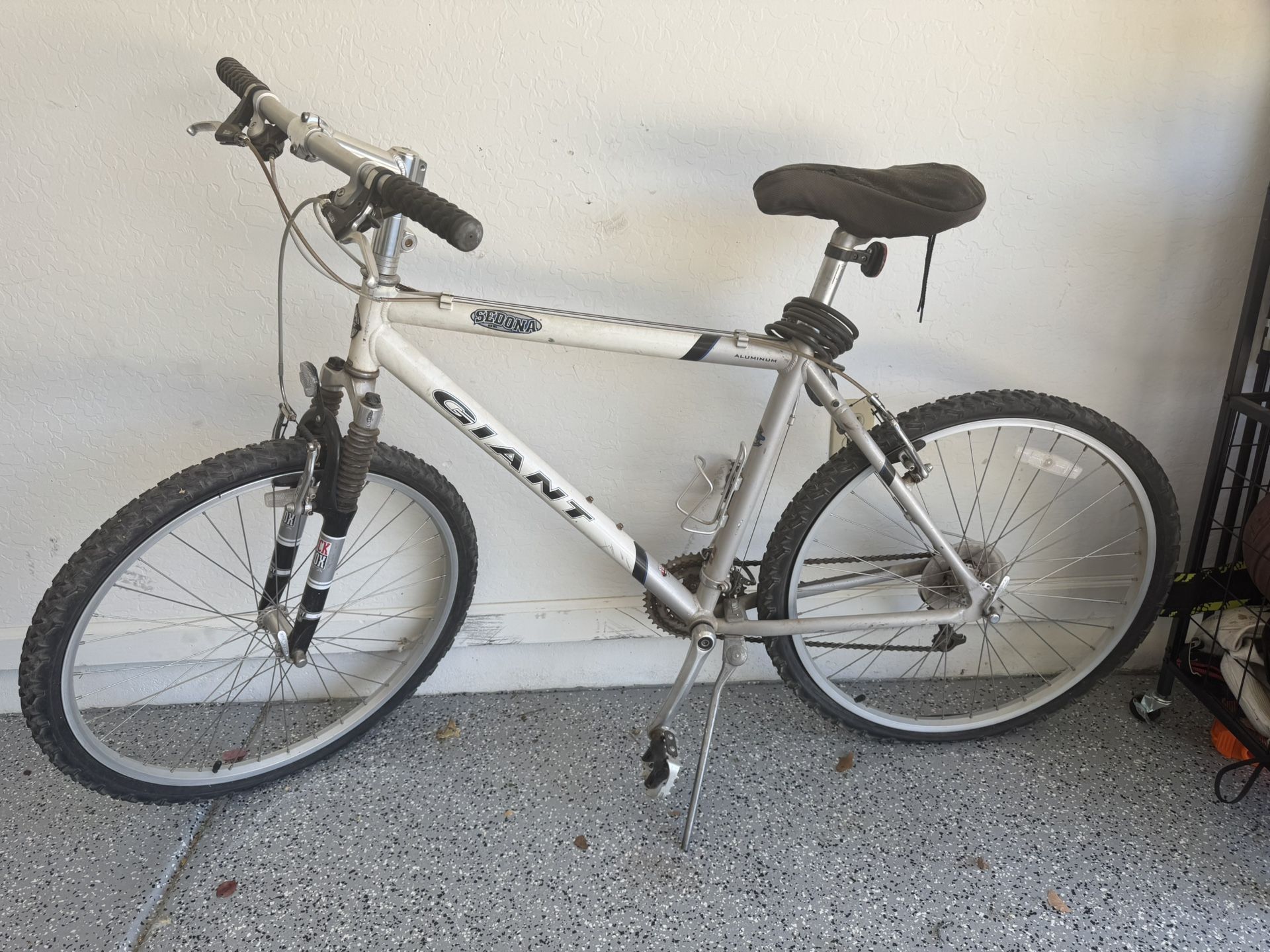 Giant Adult Mountain bike