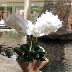 Faux Orchids In Wooden Base