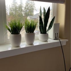 Fake Plants