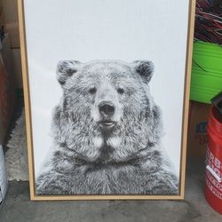 Black And White Bear Picture