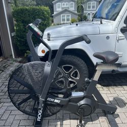 Rogue Echo Bike 