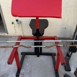 Seated Arm Curl Bench 
