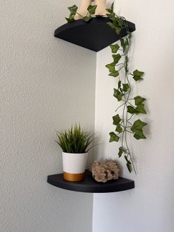 Corner Shelves
