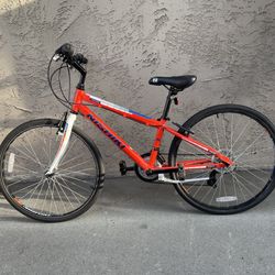 Nishiki Boys Mountain/Roadbike