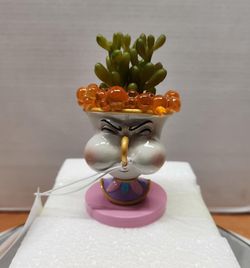 2021 Disney Parks Beauty And The Beast Chip Succulent Faux New in Box