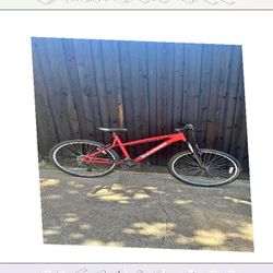 order policy Adult Bicycle Comfortable Ride for Everyday Trips