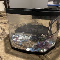 5 Gallon Fish Tank