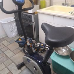 Stationary Exercise Bike By Stamina