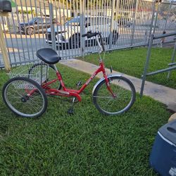 Miami Sun Tricycle 