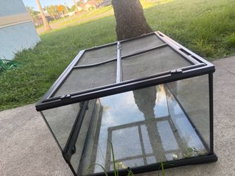 Exo terra glass, terrarium, medium