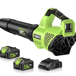 Leaf Blower Cordless