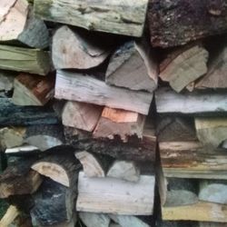 Dry Firewood