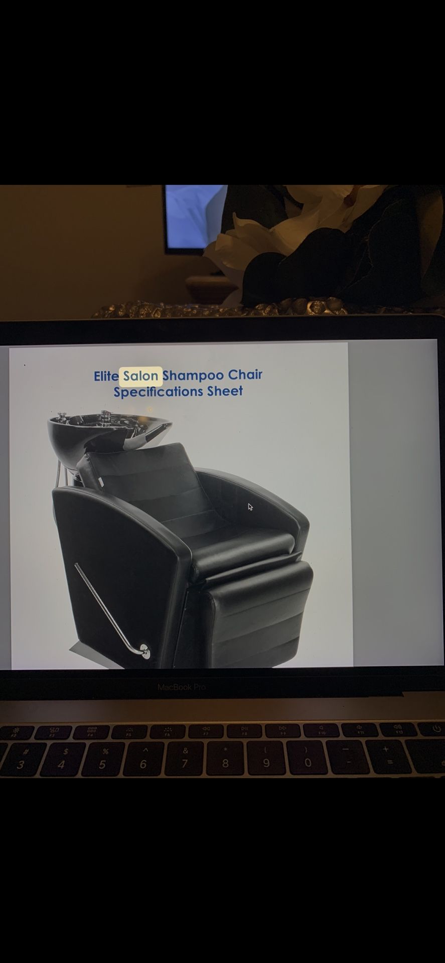 Salon Shampoo bowl & Chair