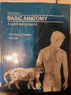 Basic Anatomy