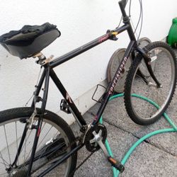 Specialized Mountain Bike