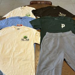 Lightly Worn High Quality T-Shirts 