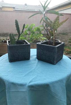Black Square Ceramic Planters