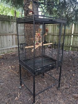 Rolling Wrought Iron Parrot Cage
