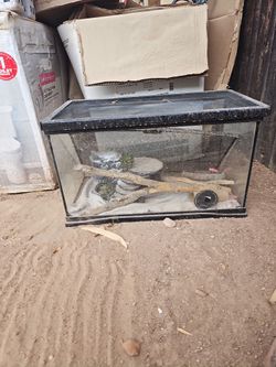 Terrarium
