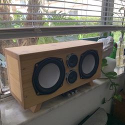 Custom made speaker 