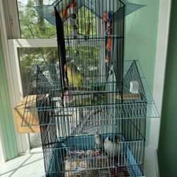 bird cage